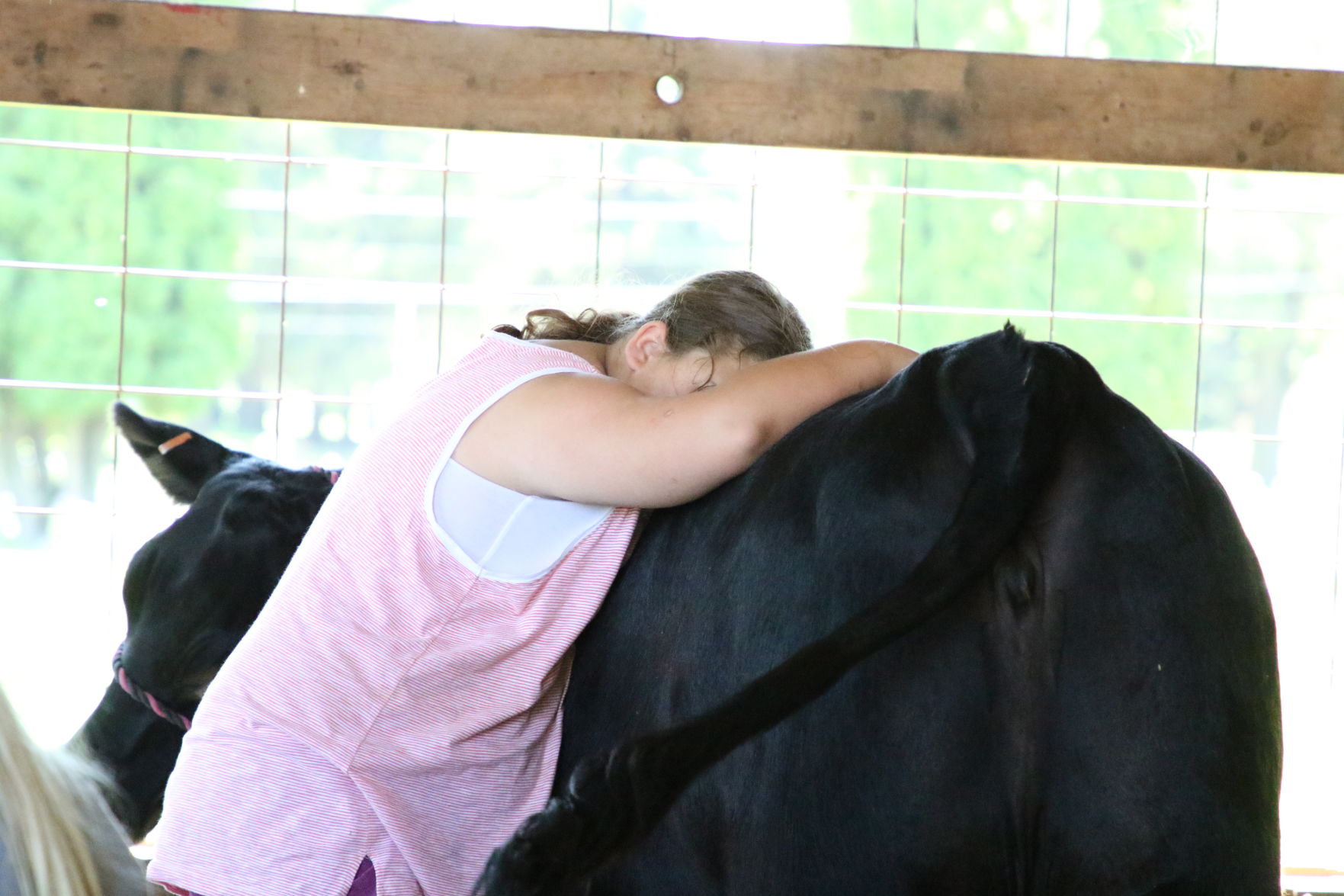 Animal Barns_09.JPG